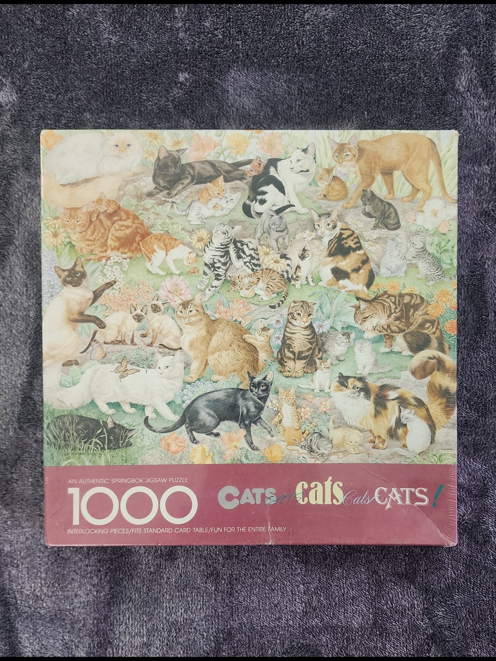 Springbok Cats Cats Cats! 1000-Piece Jigsaw Puzzle – Multicolor Cat Illustration